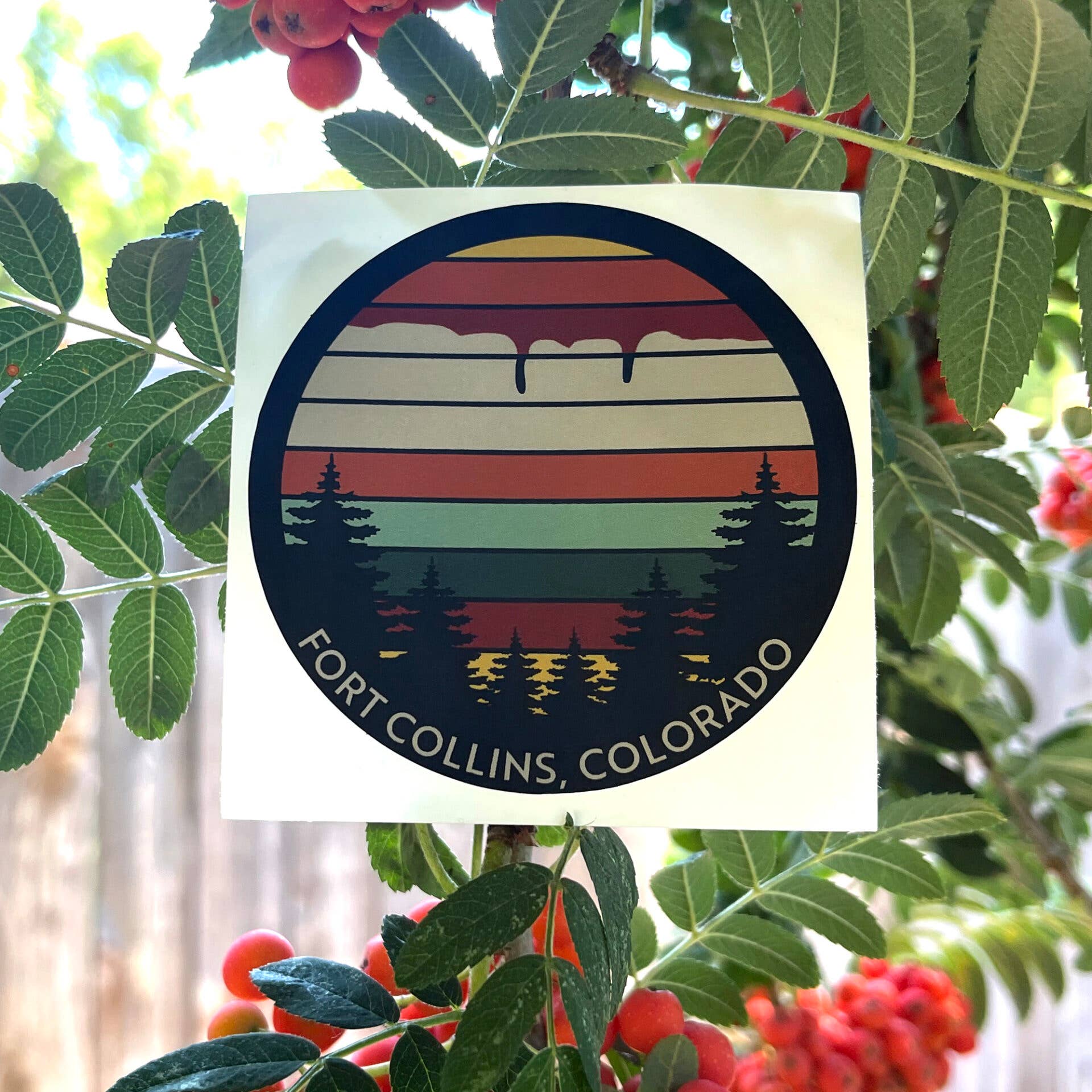 Around FoCo - Wholesale Phone & Laptop Stickers - Fort Collins Stickers11