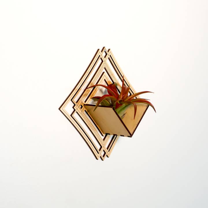 LIGHT RAZOR DESIGN STUDIO - Wholesale Wall planter - Air Plant Holder / Wall Hanging Planter 5 - Mounted Hanger11