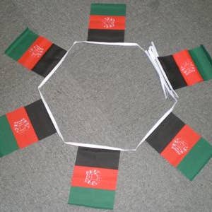 6m 20 Flag Afghanistan Bunting for wholesale by Worldwide Flags Ltd