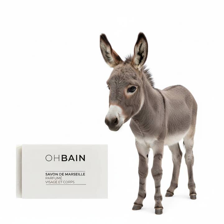 OHbain ! – Großhandel Feste Seife – Authentische Marseiller Seife mit Eselsmilch1