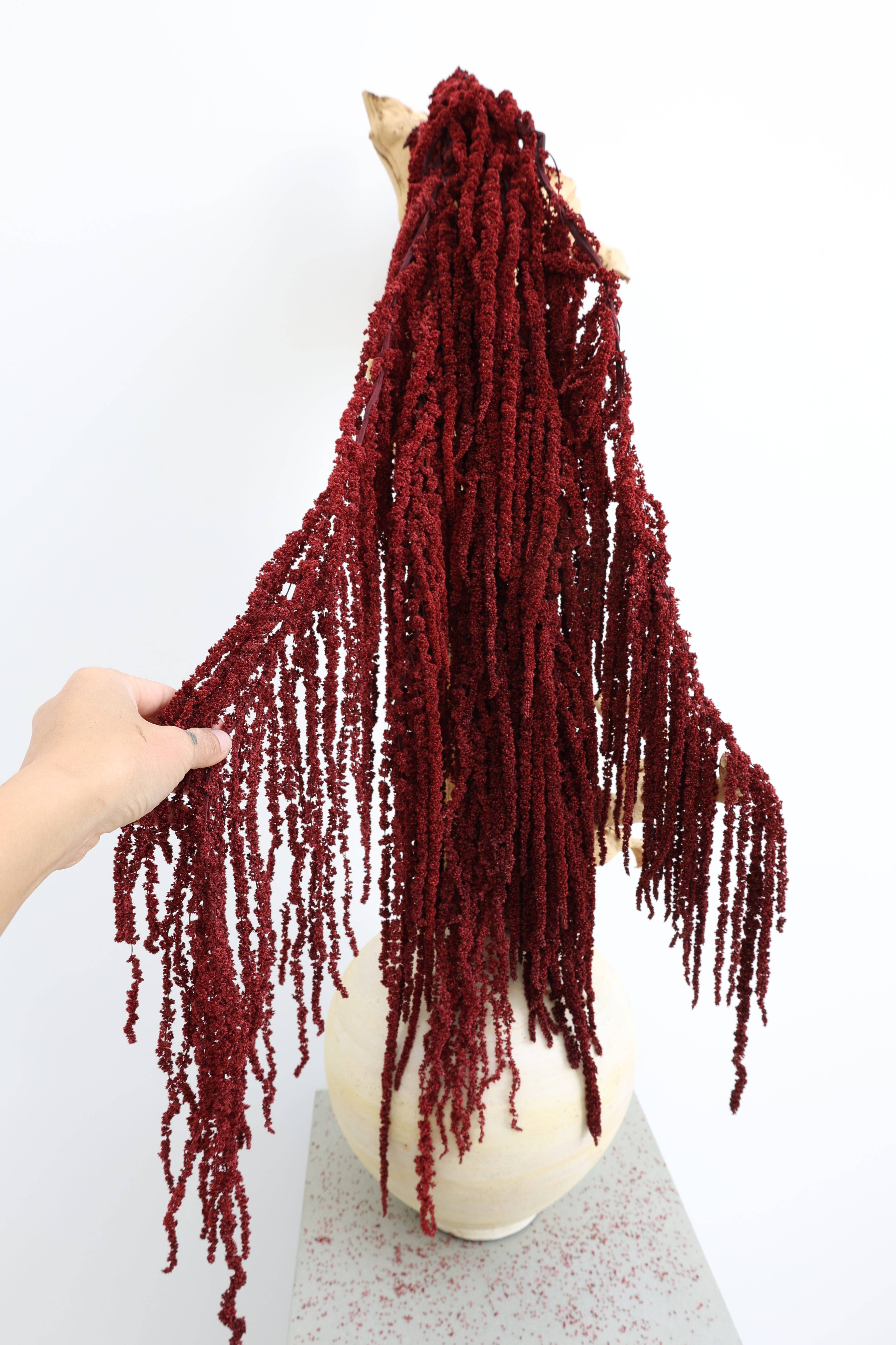 FlowerFantaSee - Vente Fleur séchée/pressée - Amarante préservée rouge profond3