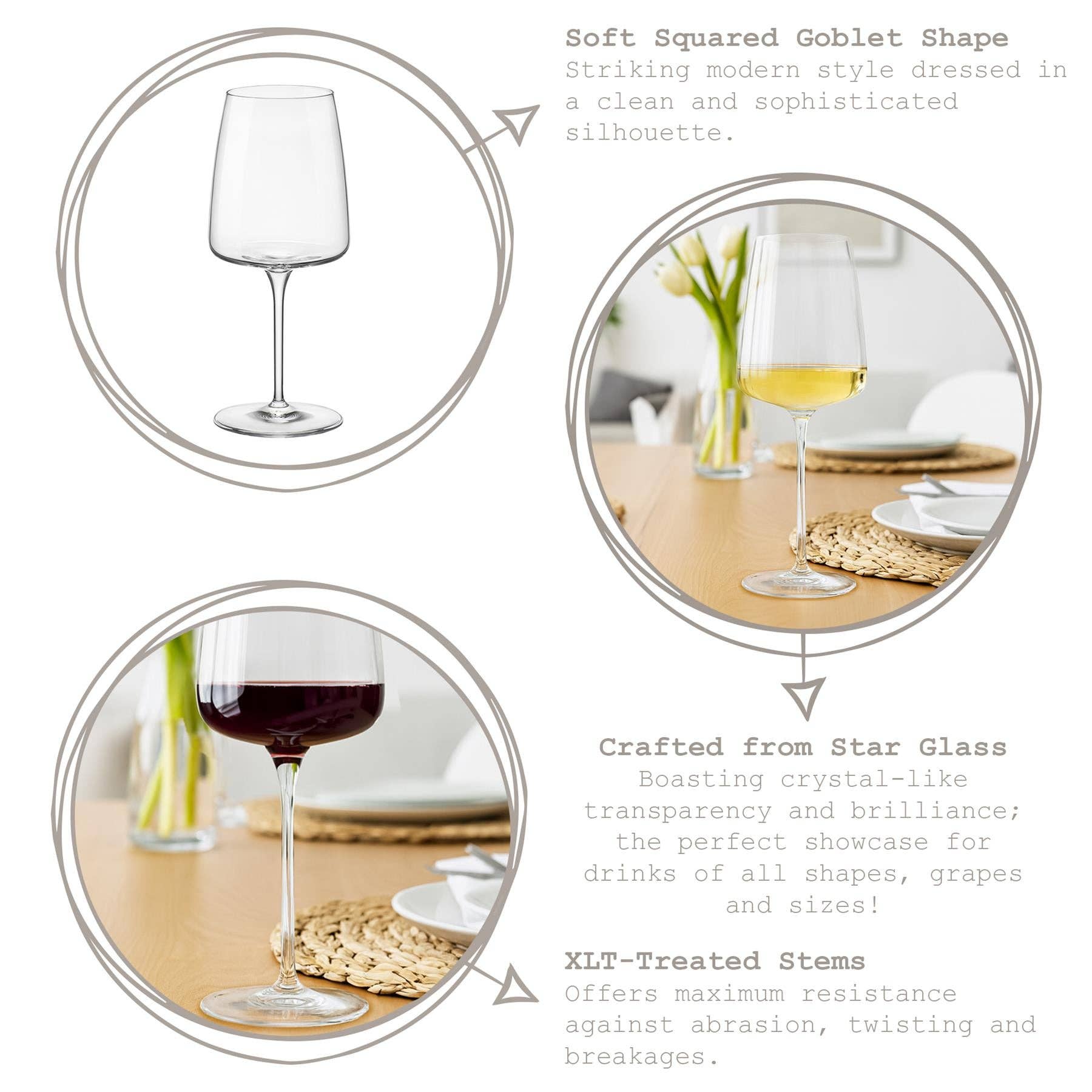 Rinkit Ltd – wholesale Wine glass – 450ml Nexo Wine Glass3