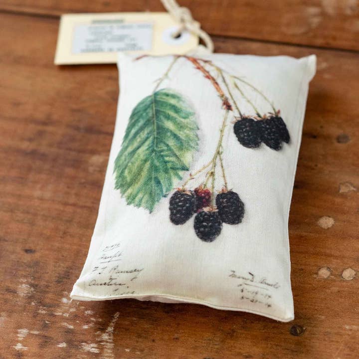 Lazybones - Wholesale Sachet - Rubus - Lavender Scented Sachet