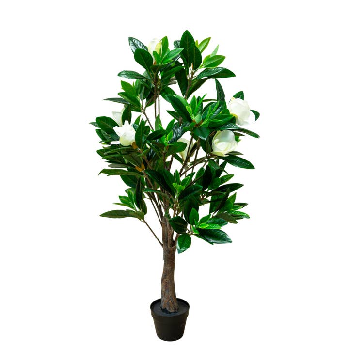 PTT132 Magnolia 4,5' PK 1 pour la vente par Myrians Home Decor