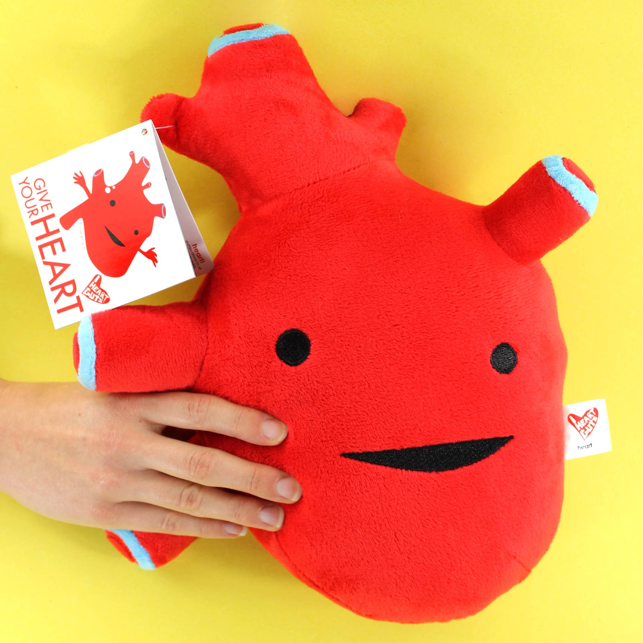 I Heart Guts | Organ Plushies Wholesale – wholesale Fyllda/plyschleksaker - Barn och baby – Hjärtformad mjukisdjur - I Got The Beat!6