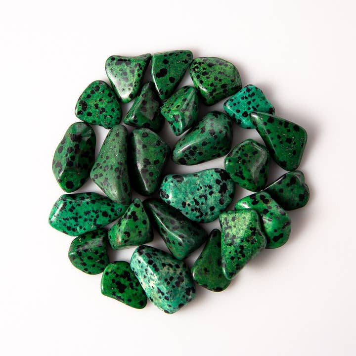 Tree of Life Gems – Engroshandel Spirituelle sten og krystaller – Medium tumlet grøn dalmatiner jaspis