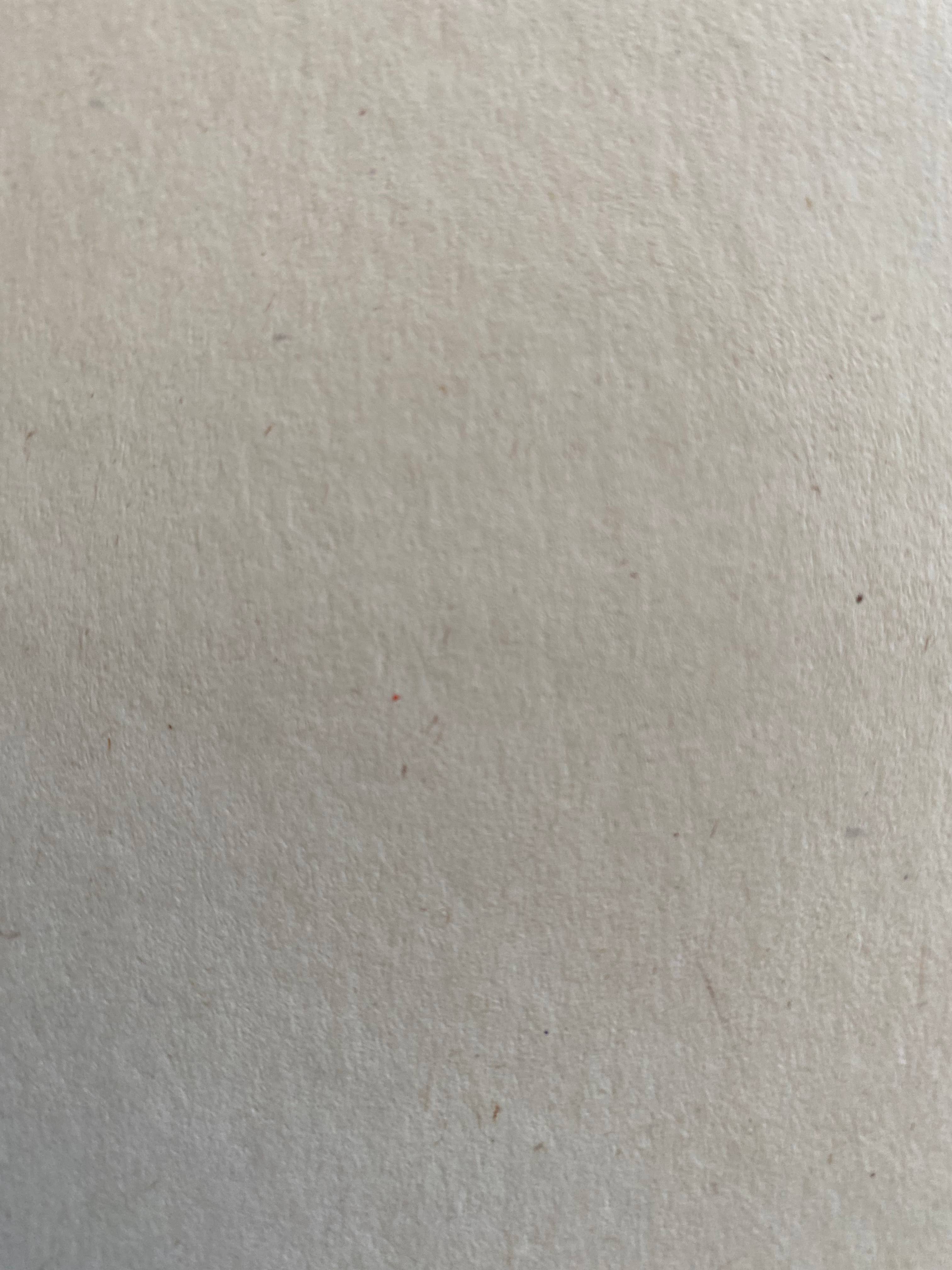 Clare O’Neill Artworks - Wholesale Postcard - A6 Turtle doves postcard2