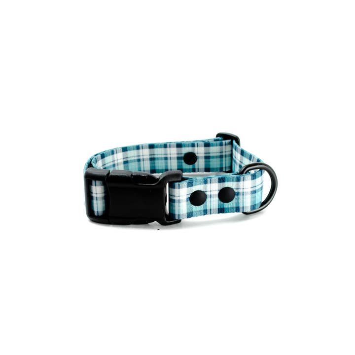 Maxwell - Dog Collar for wholesale by PawTies