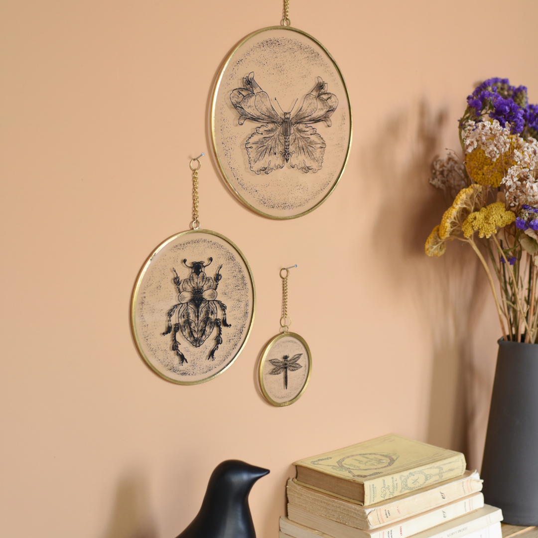 Baubels – Großhandel 3D-Wandkunst – Kiko Beetle Rahmen2