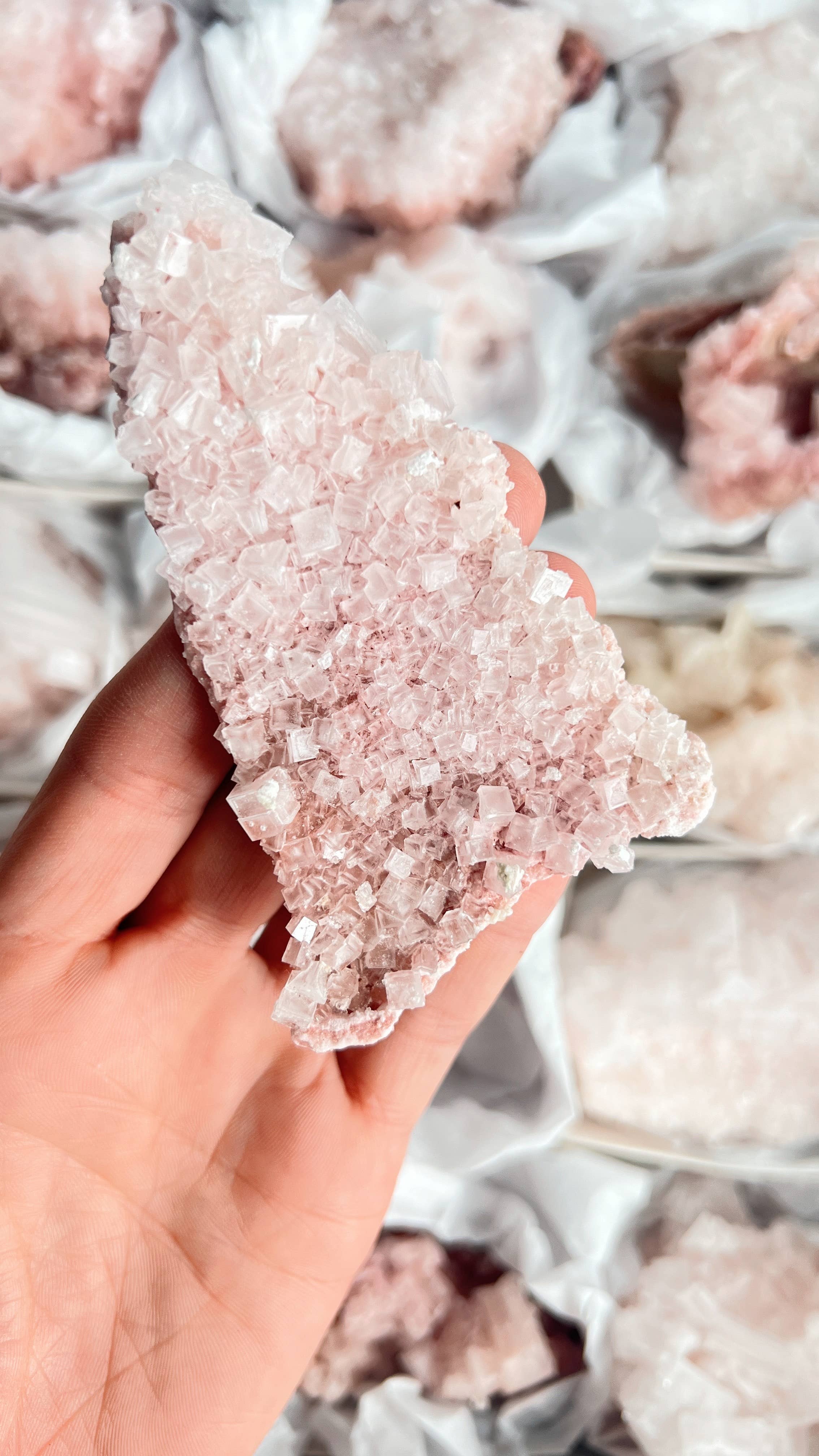 Terra Dawn Minerals - Wholesale Spiritual Stone/Crystal - Pink Halite Crystals6