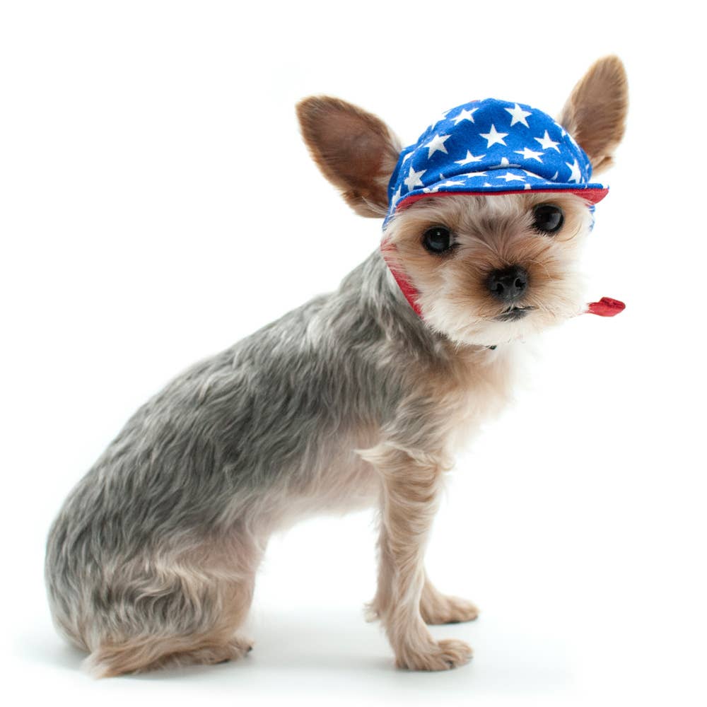 Dogo Pet - Wholesale Pet Hat - Dog - Star Hat3