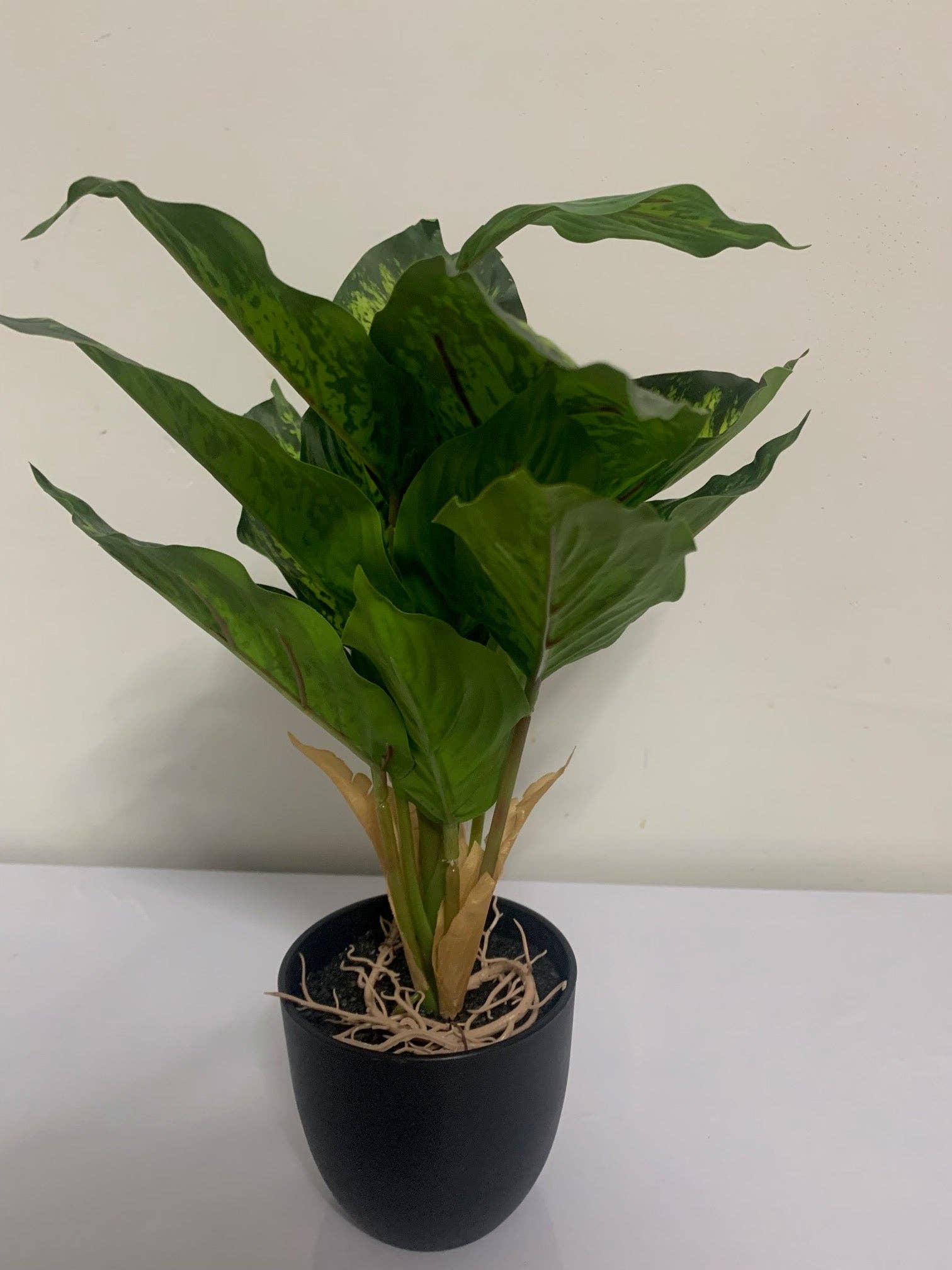 UniqueMartandHome - Wholesale Artificial Plant - Fake Dieffenbachia in Decor Pot1