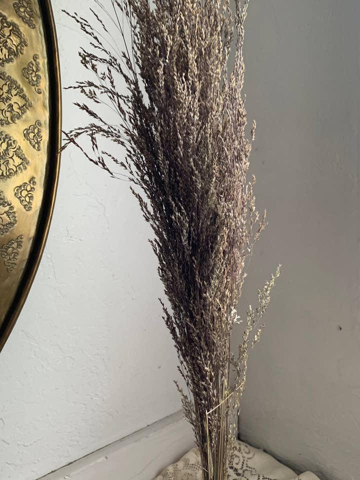 Dried Tufted Grass - Neutral Toned Grasses for wholesale by Twig and Snip