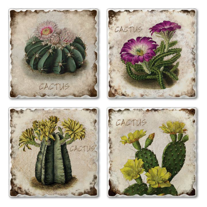 CounterArt/Highland Home/Thirstystone/CoasterStone - Wholesale Coasters - Thirstystone "Cactus Flowers" Absorbent Stone Coaster 4pk