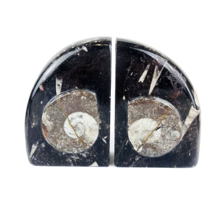 Rock Paradise - Wholesale Boekensteun - Fossiele boekensteunen van Orthoceras en Ammonite5