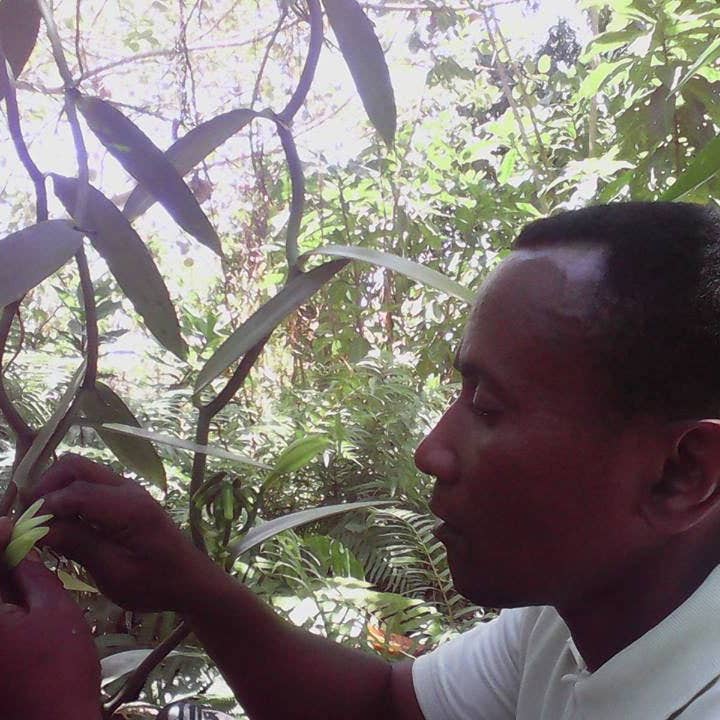 Berner Matte Brennerei - Wholesale Rum - Berner Matte Summa Summarum 40% 5dl1