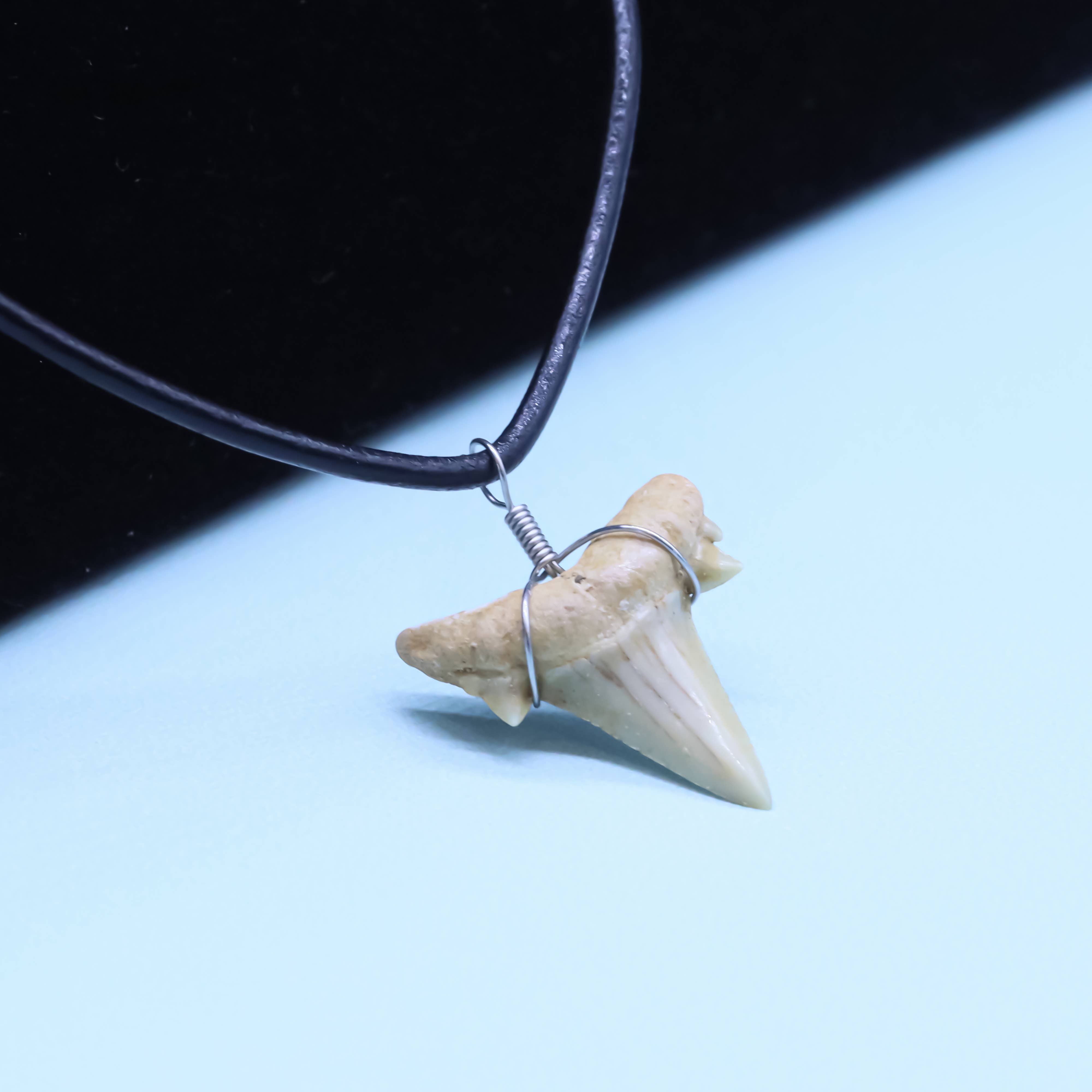 Natalia - Wholesale Pendant/Charm Necklace - Shark Tooth Necklace - Fossil Sharks Teeth with Leather Cord6