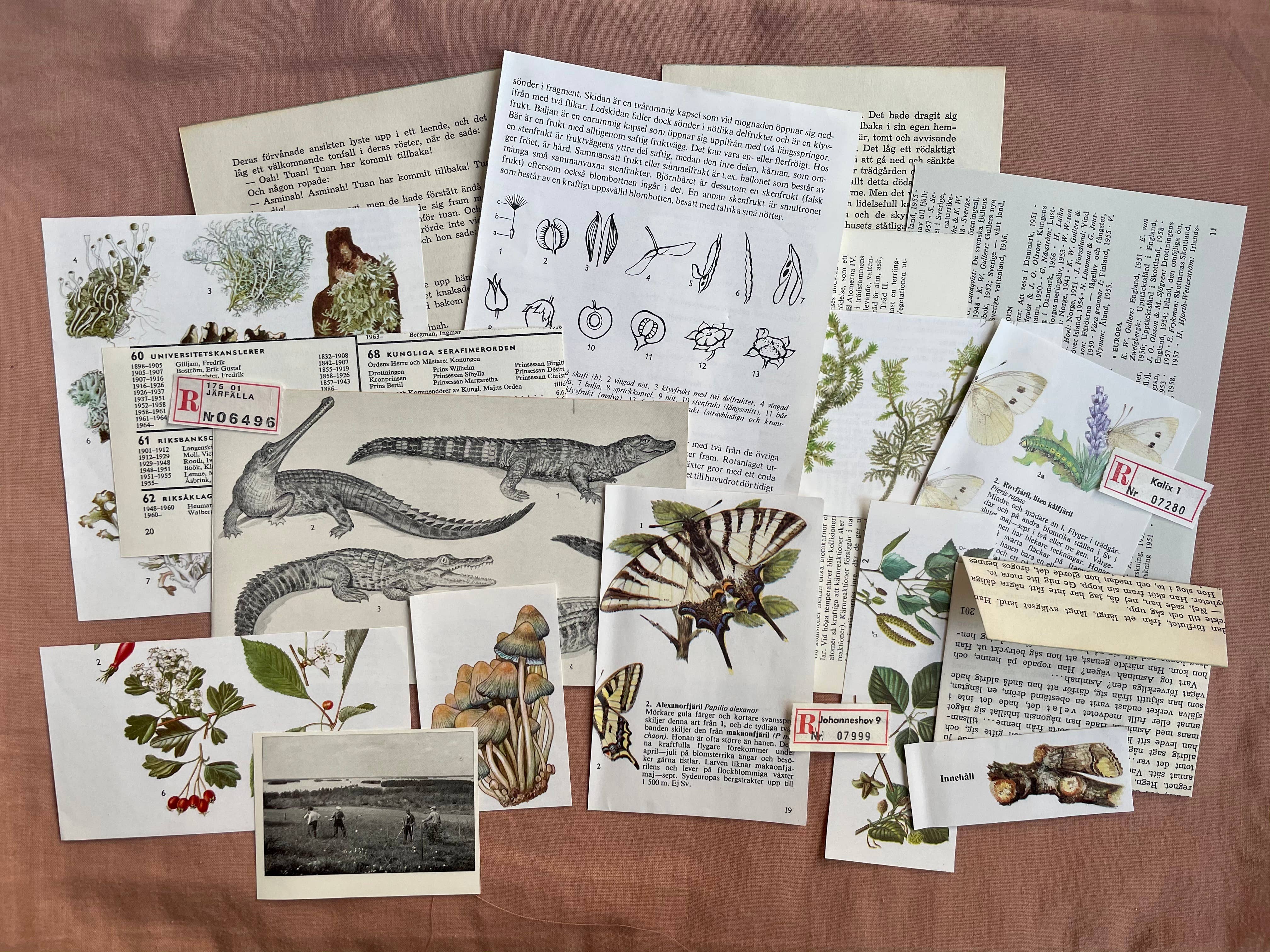 Eldfängda Design - Wholesale Scrapbook - Vintage paper ephemera bundle4
