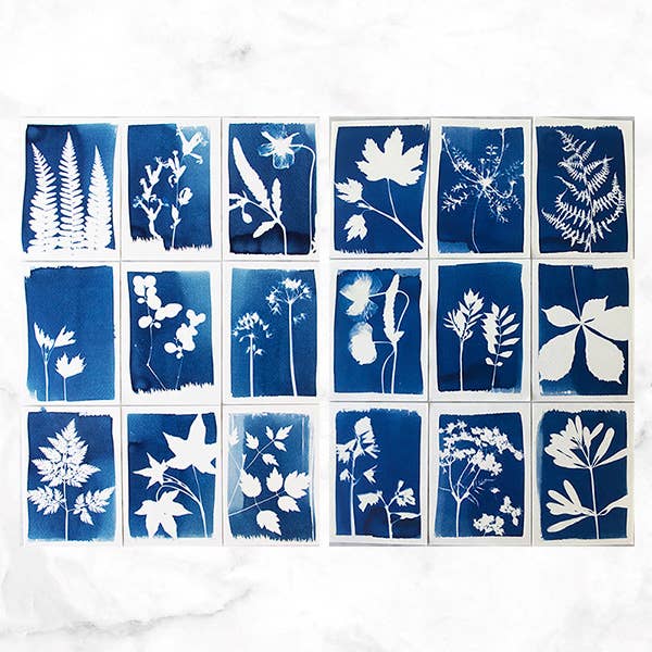 Botanopia - gifts , decor and cards for plant lovers - Vendita all'ingrosso Kit per lavoretti fai da te - Kit Cyanotype - Kit fai-da-te per creare le tue stampe blu3
