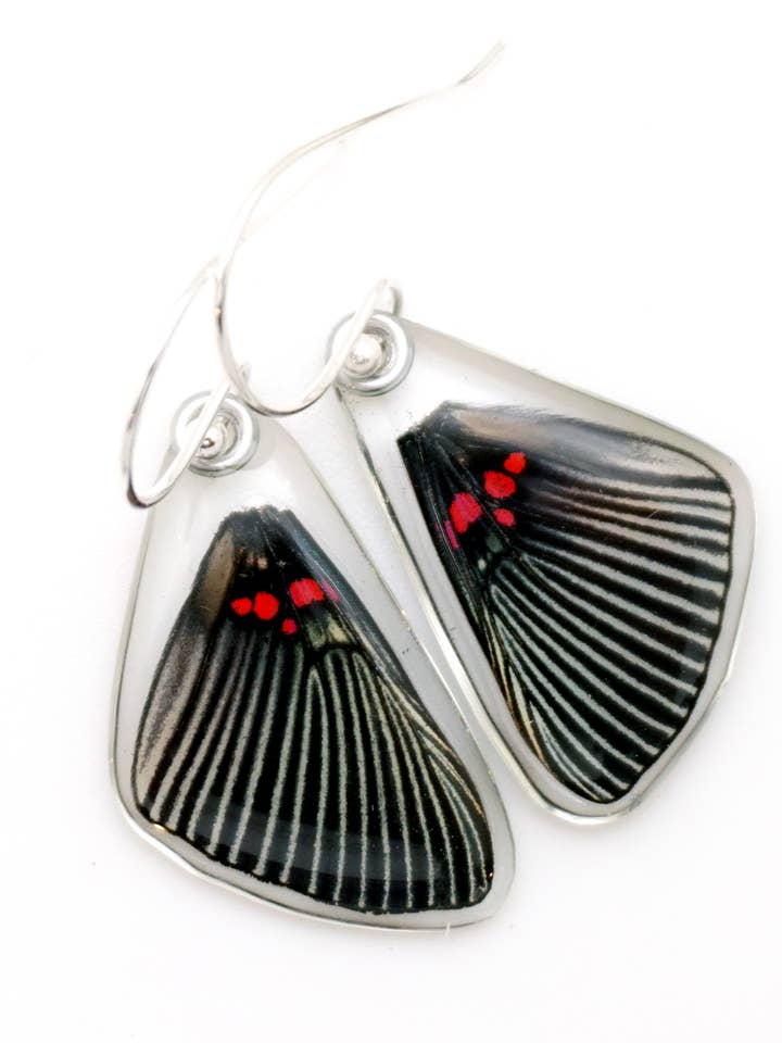 0630 Butterfly Earrings, Pink Dotted Metalmark, Top Wings for wholesale by Wingstitution