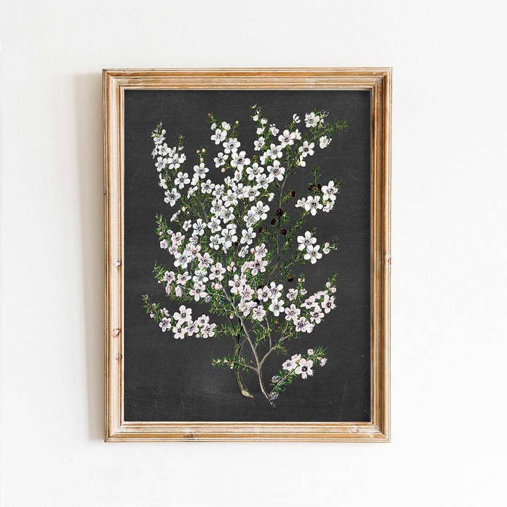 Stampa artistica Garden Flowers 2 su sfondo nero per la vendita all'ingrosso da parte di Paper House Print Shop