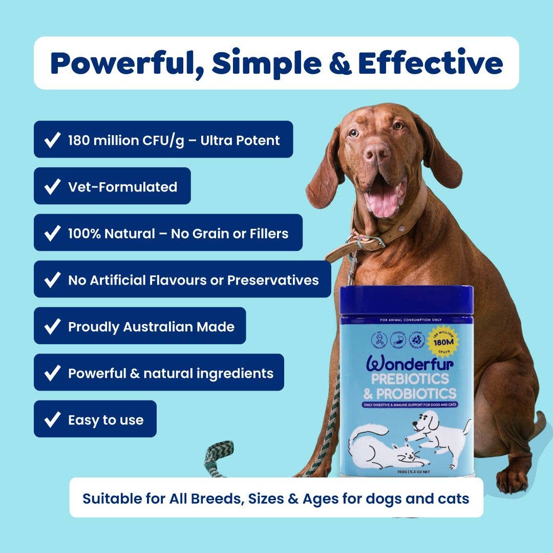 Wonderfur - Wholesale Pet supplement – Cat/dog - Wonderfur Prebiotics & Probiotics for dogs and cats 150g6