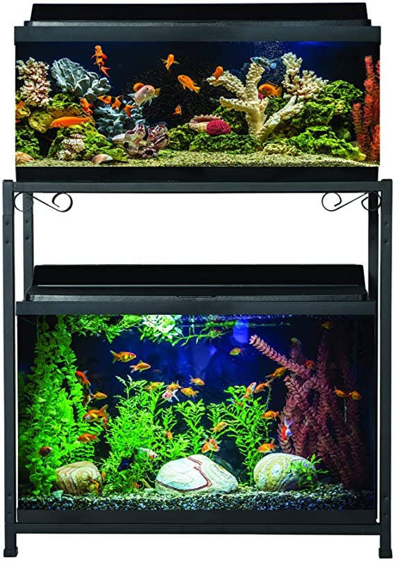 Caitec Inc - Vente Jouets – hors chat et chien - Réservoir de 20 gallons/support pour aquarium de 29 gallons Titaneze6