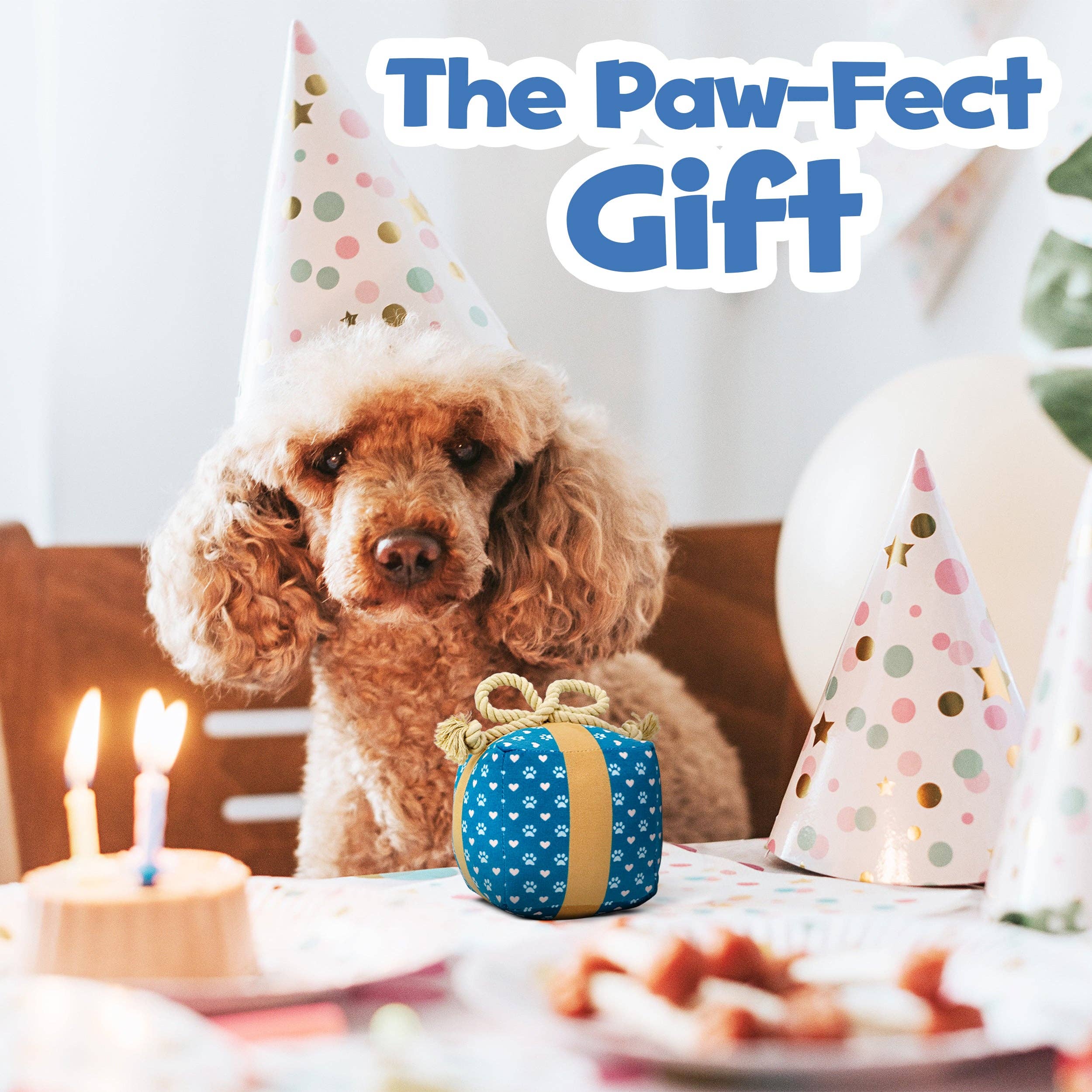 PUPROAR - Wholesale Pet Squeaky Toy - Dog - Gift Box Squeaky Dog Toy- Christmas & Birthday Dog Toys2