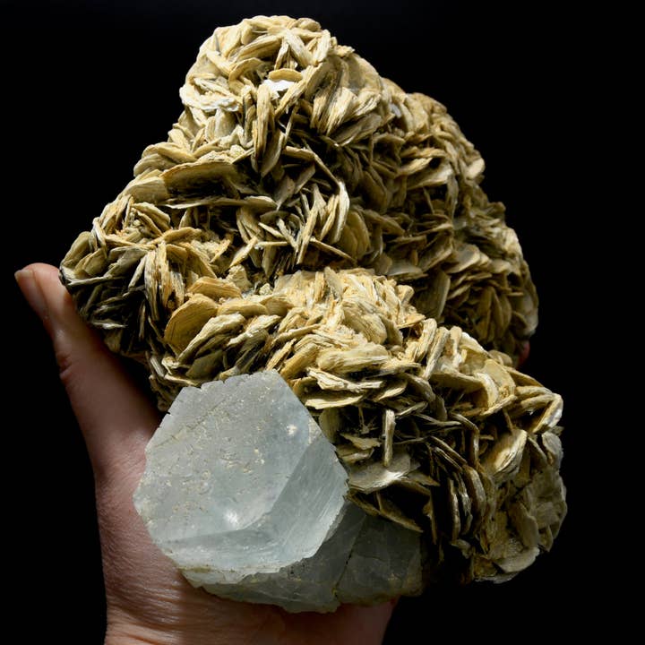 Caspar Curiosities – Pedra/cristal espiritual por atacado – Cluster de Cristal de Água-marinha XL Bruto de 4,7 lb com Fluorite Rosa e Matriz de Moscovite, Paquistão2