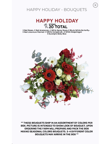 Florasource - Wholesale Fresh Cut Flowers - Premium pre made Christmas Bouquets 8 Bunches0