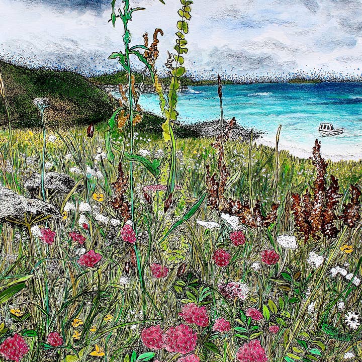 Hebridean Machair Flores, Hébridas Externas, Cartão de Saudação por atacado de Hannah Robinson Illustrations