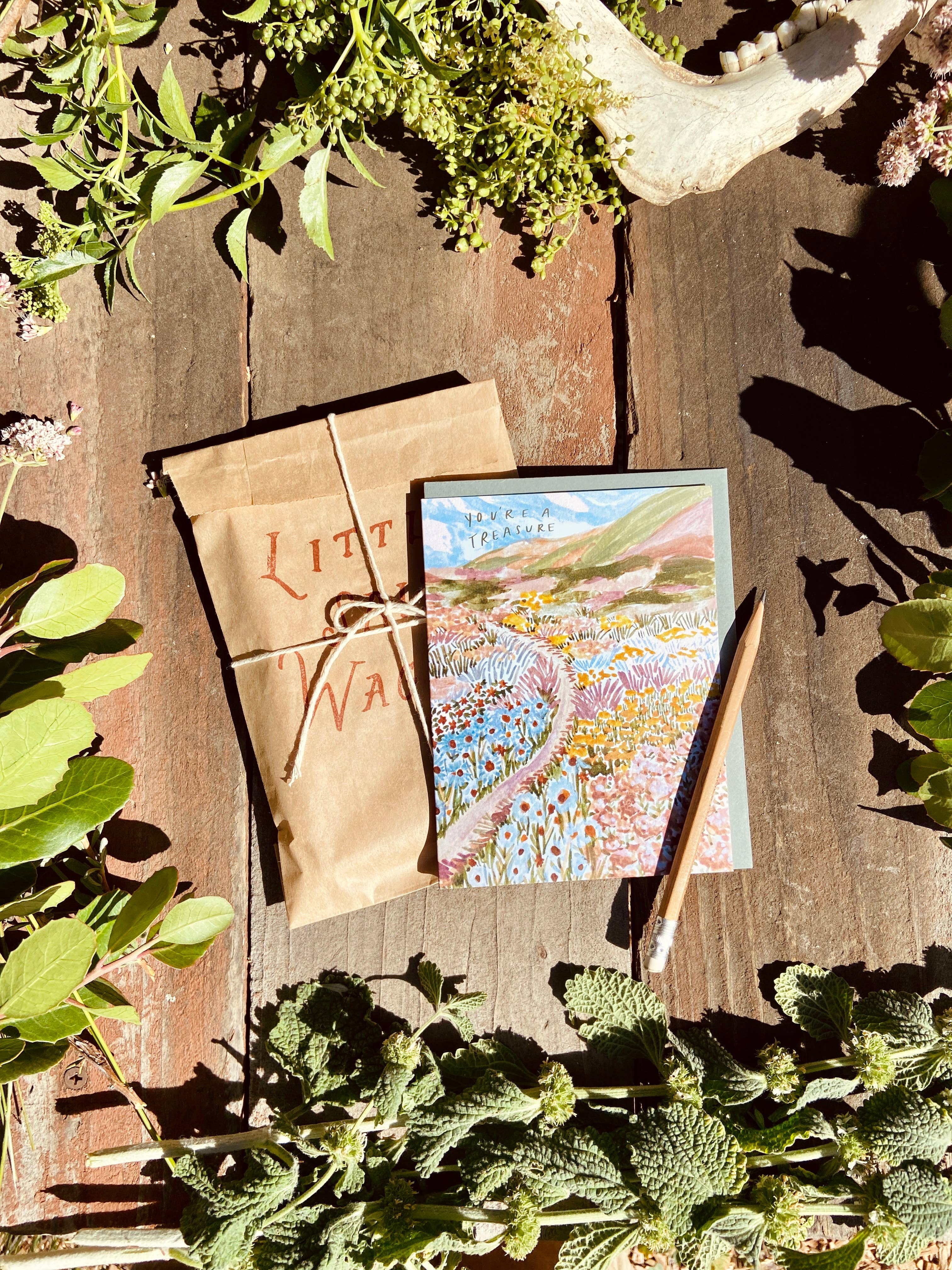 Little Salt Wagon - Wholesale Everyday Greeting Card - You're A Treasure Wildflower Colorful Coast Greeting Card5