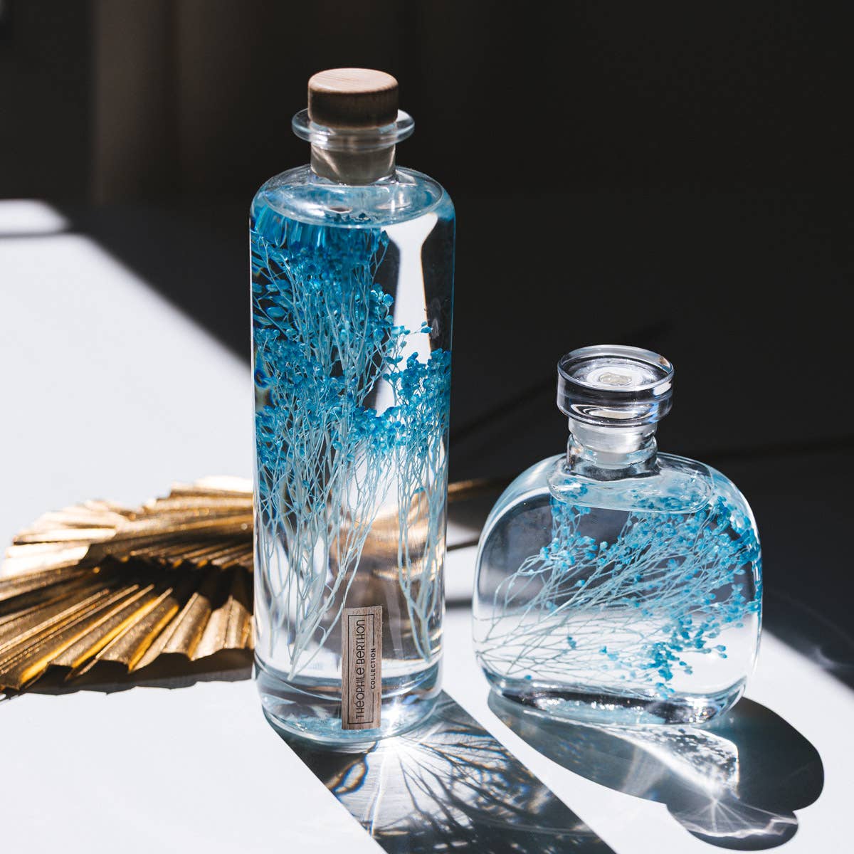 Theophile Berthon - Vente Plante - L'Herbarium Capsule- Broom bloom bleu-plante immergée8