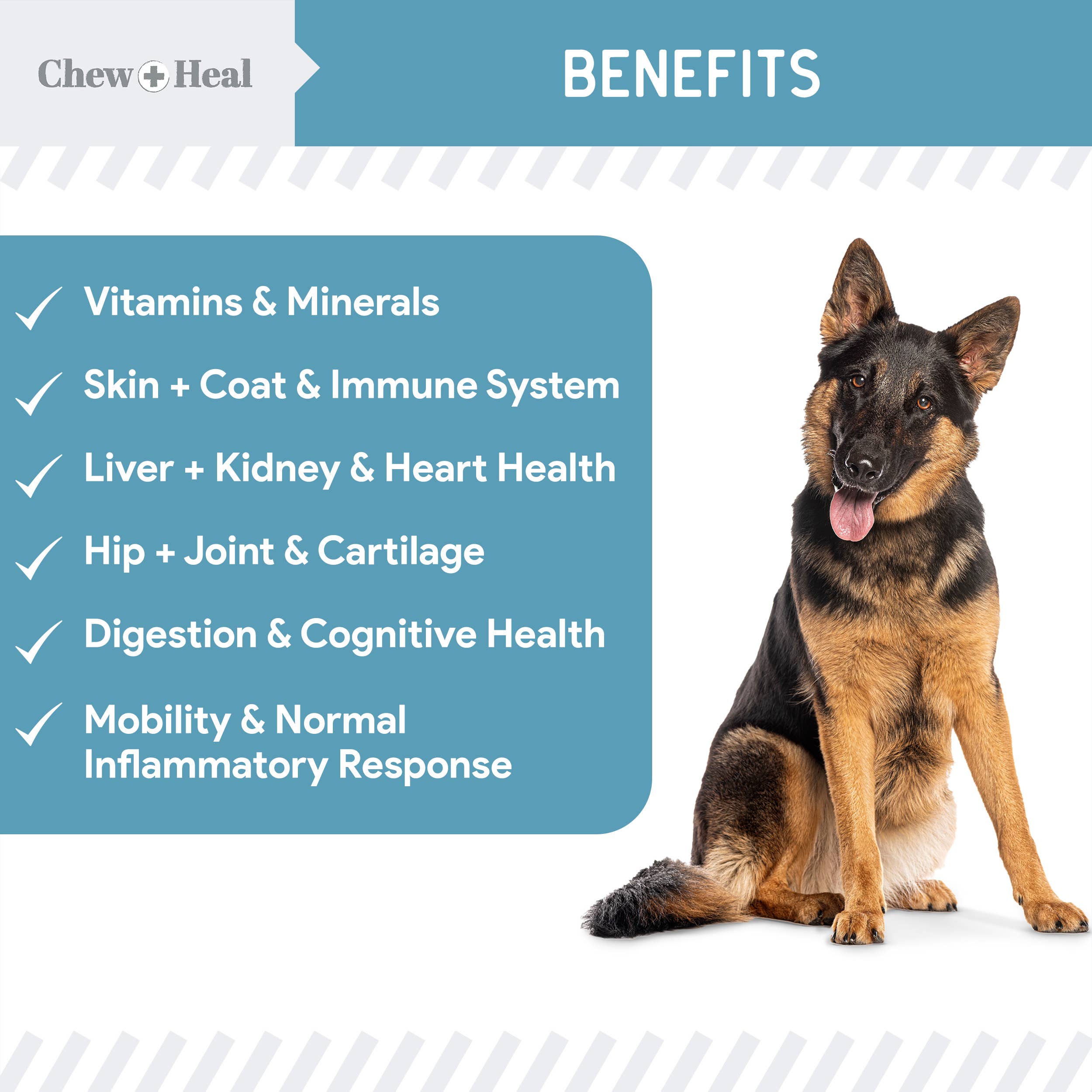 Chew + Heal - Wholesale Pet Supplement - Dog - Daily 12-In-1 Multivitamin Powder for Dogs 2