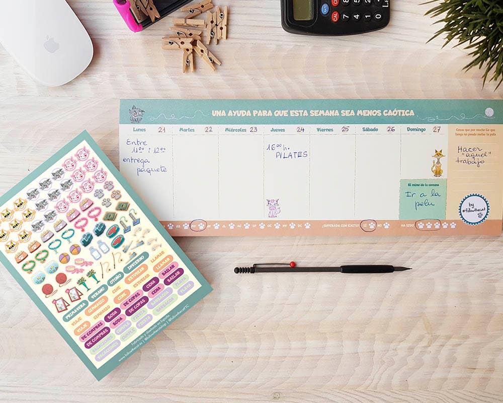 Follow The Cat - Wholesale Planner - Weekly Planner with Stickers - Instacats0