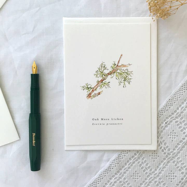 Annie Brougham Paper Goods. - Wholesale Everyday greeting card - Oak Moss Lichen Botanical Illustration Card0