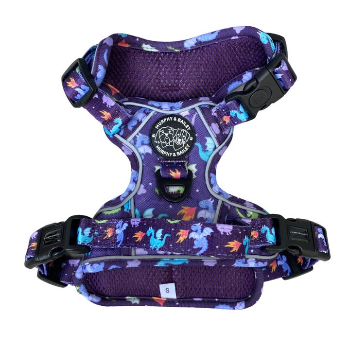 Dragon Dreams - Entdecke Harness für den Großhandel von Murphy and Bailey