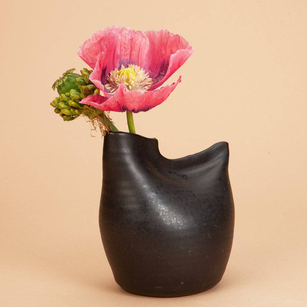 Plantgem - Wholesale Plant Seeds - Hens and Chicks Breadseed Poppy - 100 Seeds1