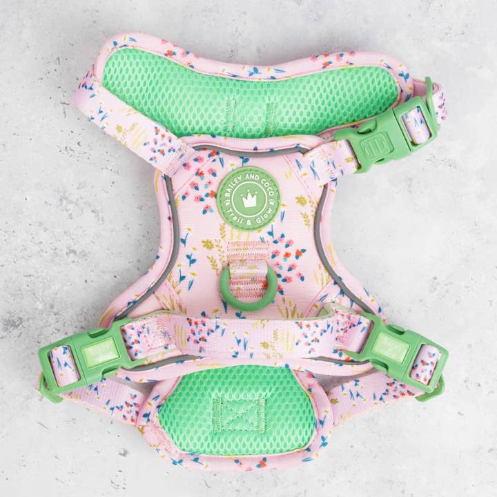 Trail & Glow Dog Harness - COLOUR DROPS® - Pick Me for wholesale by Bailey and Coco