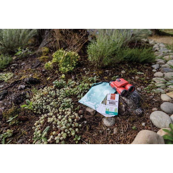 Toysmith - Wholesale Toy Set - Kids - Beetle & Bee Little Birder Set-Bird Watching for Kids