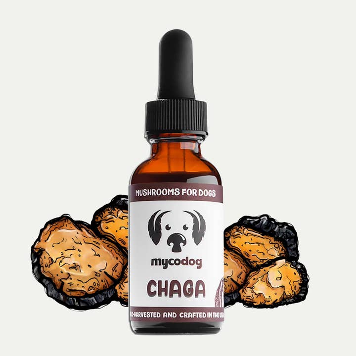 Chaga Mushroom Tincture for Dogs | Antioxidant Support for wholesale by MycoDog