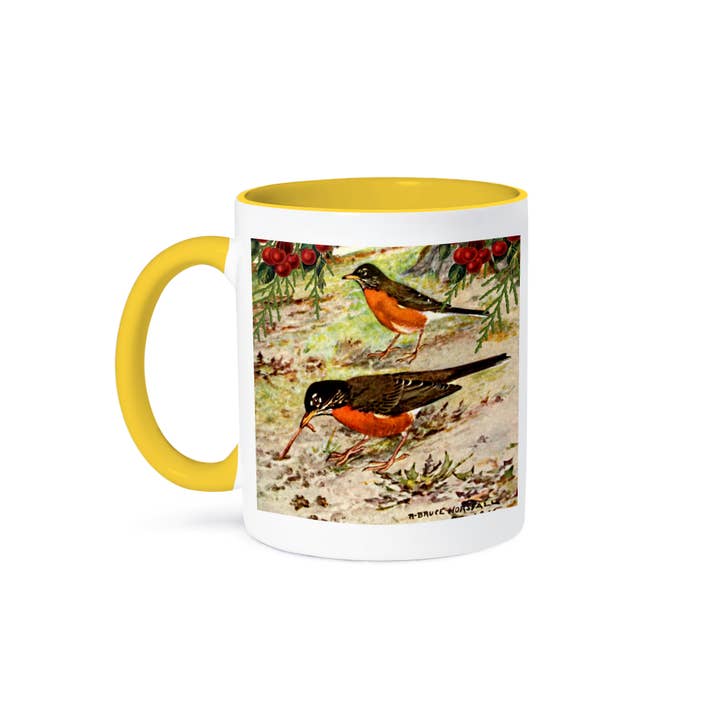 3dRose - Wholesale Coffee Mug - 3dRose, Vintage Bird Art American Robin Catches Worm - Robins Birds Feeding, Mug