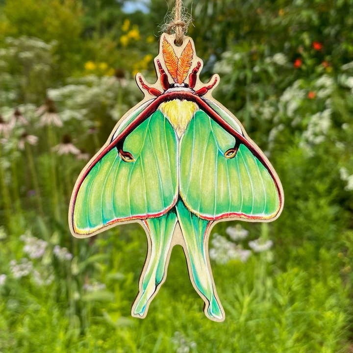 Allison Stoiser Art - Wholesale Ornament - Luna Moth Wood Print Christmas Ornament0