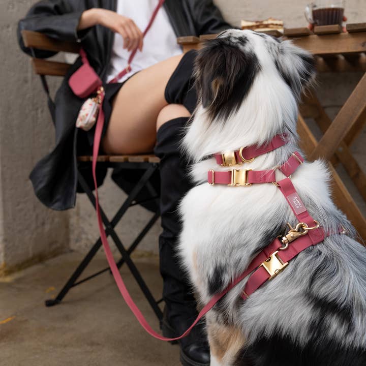 SUNNY TAILS - Vente Laisse – chien - Laisse pour chien Hands Free Cloud convertible 4-en-1 Burgundy3