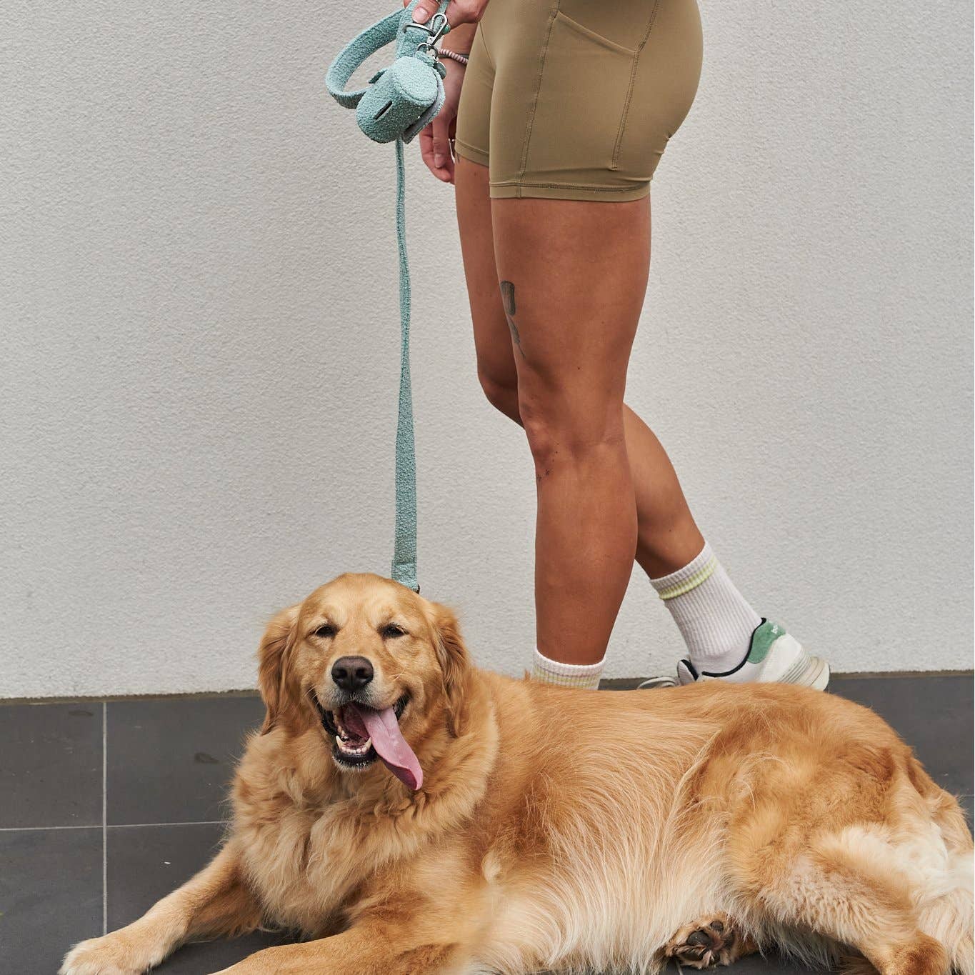 Lilly + Dash - Vente Laisse – chien - laisses7