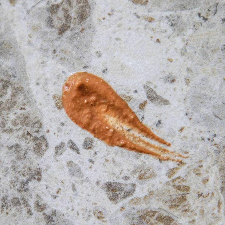 NÖRRE NORDIC - Wholesale Skincare Face Mask - Glow-Boosting Face Mask With Wild Arctic Herbs & Berries3