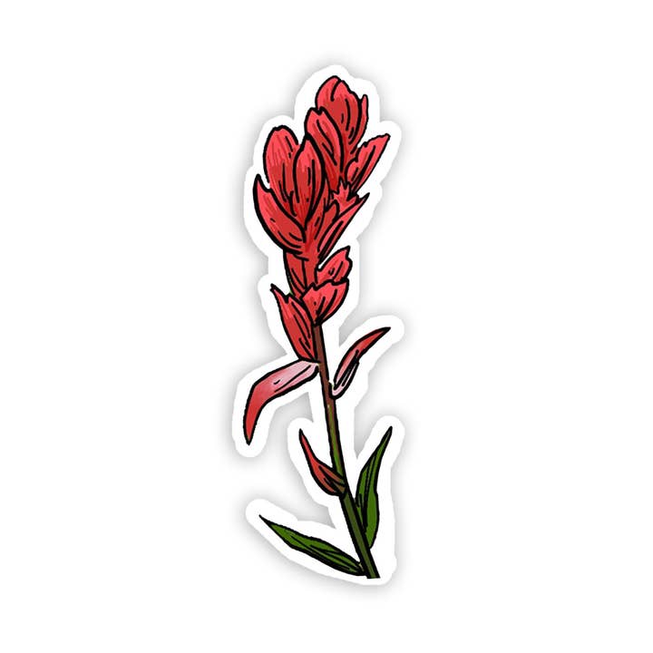 Indian Paintbrush Wildflower Vinyl Sticker for wholesale by Corvidae drawings & designs