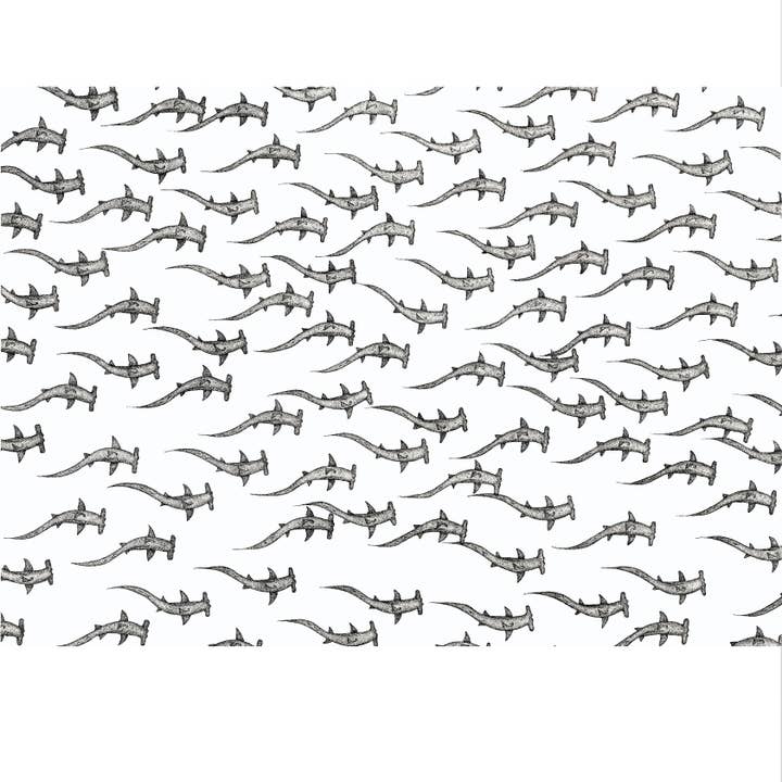Dots by Donna - Wholesale Art print - Hammerhead Sharks