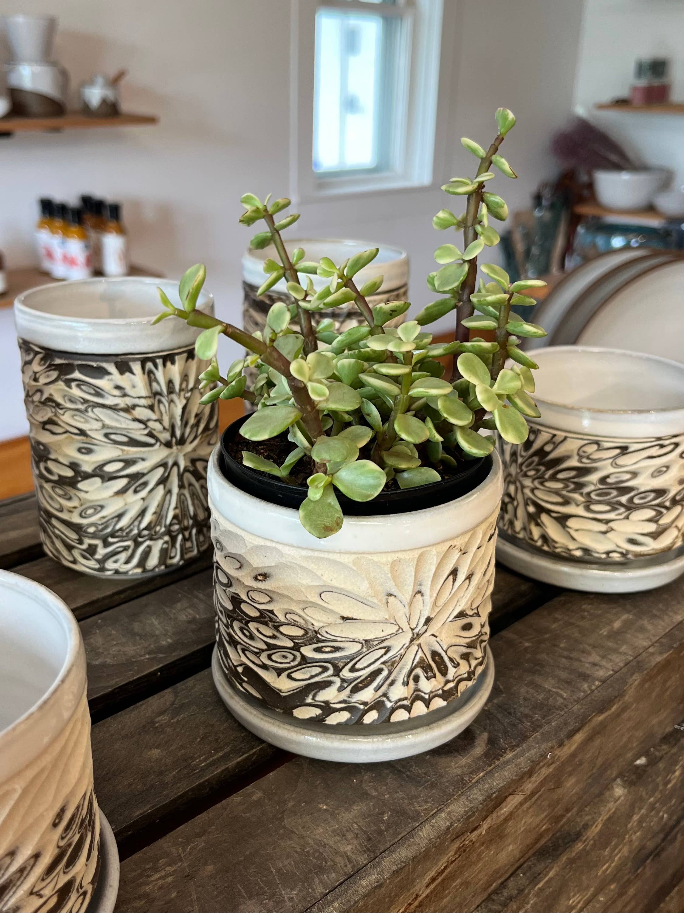 Less Is More Studios - Wholesale Indoor Pot - Butterfly Effect Planter Set2