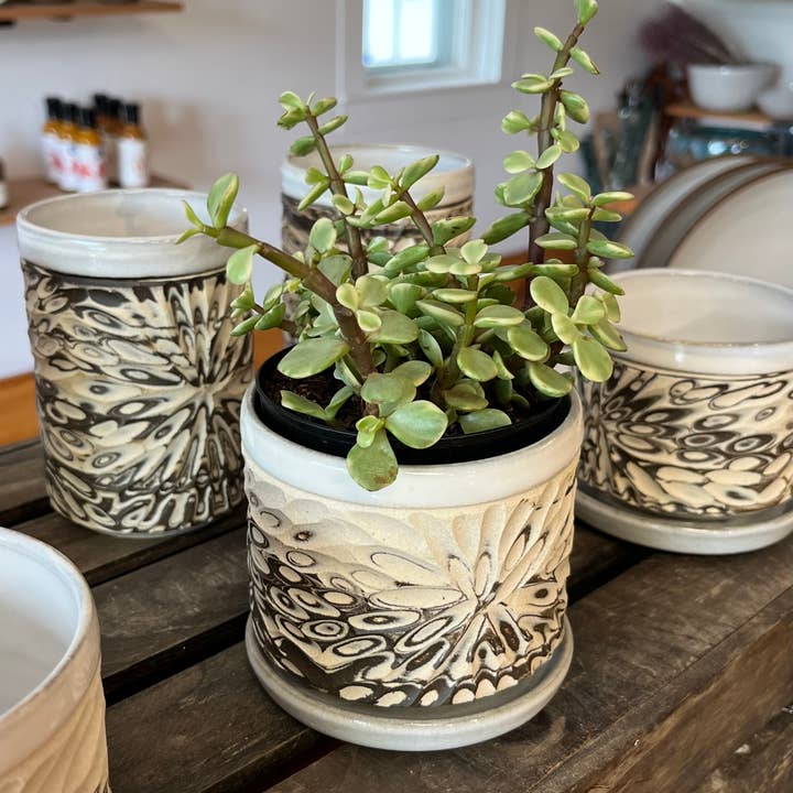 Less Is More Studios - Wholesale Indoor Pot - Butterfly Effect Planter Set2